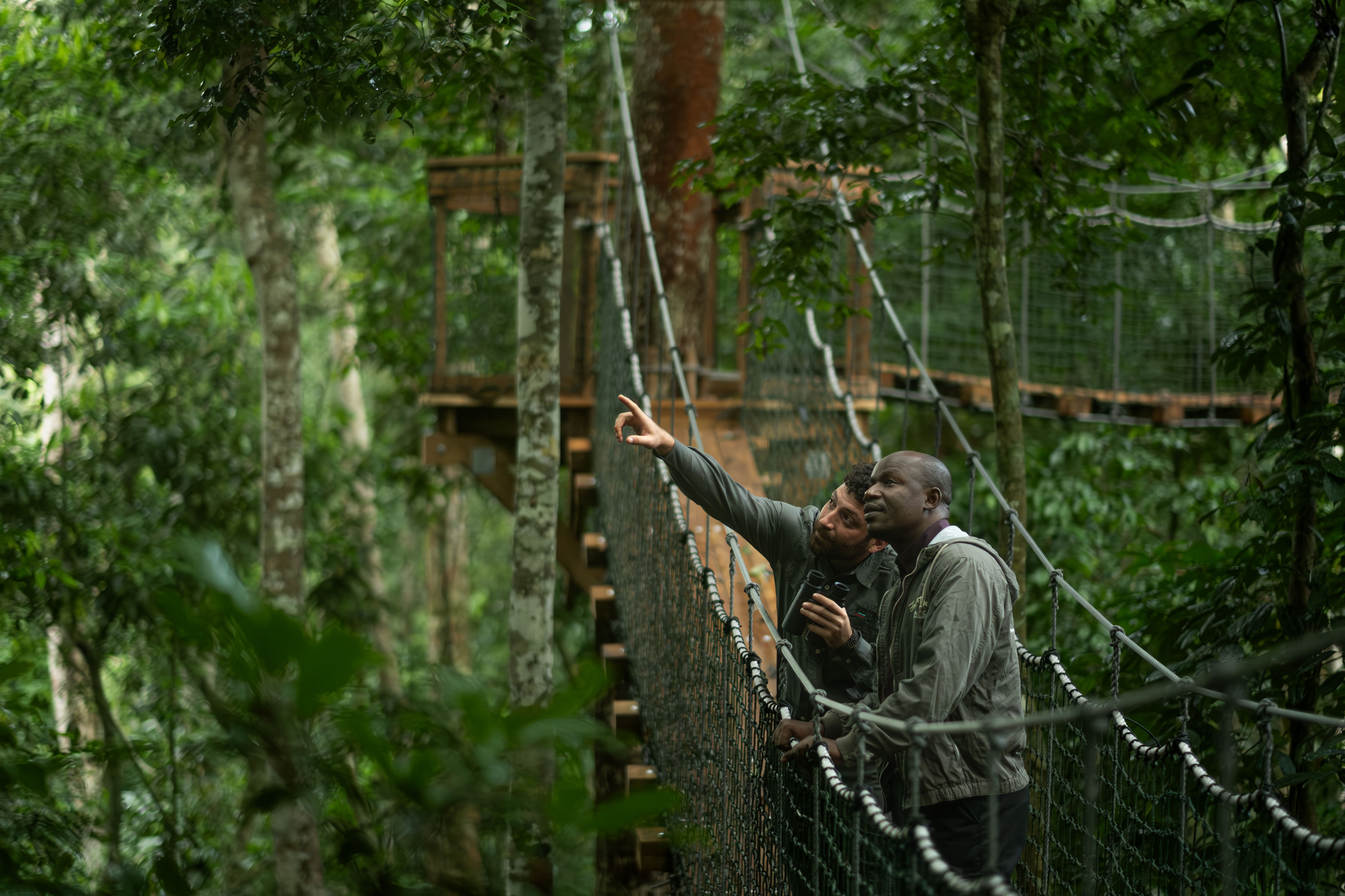 Photo from 8-Day Odzala Discovery Gorilla Trekking & Congo Rainforest Safari safari tour